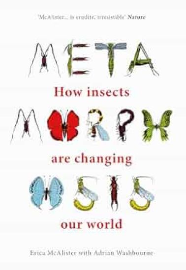 Metamorphosis