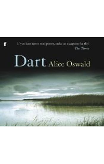 Dart