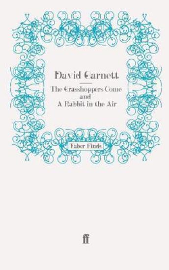 The Grasshoppers Come and A Rabbit in the Air