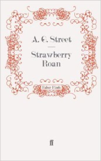 Strawberry Roan