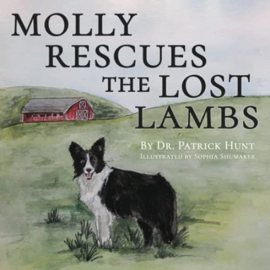 Molly Rescues the Lost Lambs