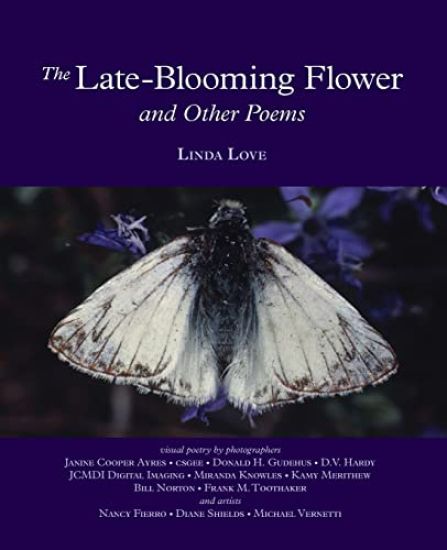 The Late-Blooming Flower and other poems