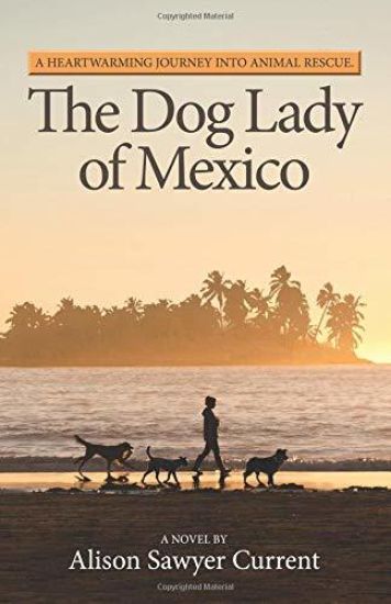 The Dog Lady of Mexico: A Heartwarming Journey Into Animal Rescue