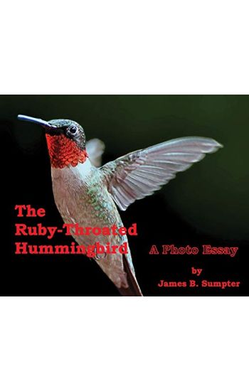 The Ruby-throated Hummingbird