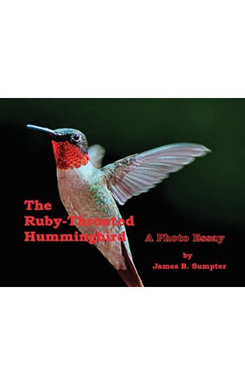 The Ruby-throated Hummingbird