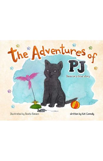 The Adventures of PJ