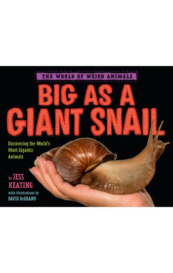 Big as a Giant Snail