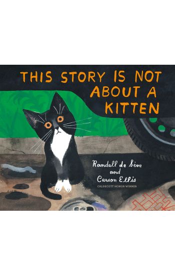 This Story Is Not About a Kitten
