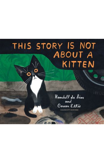 This Story Is Not about a Kitten