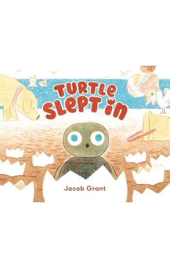 Turtle Slept in