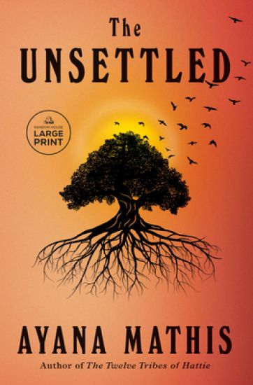The Unsettled