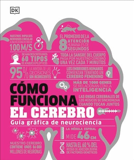 C?mo Funciona El Cerebro (How the Brain Works)