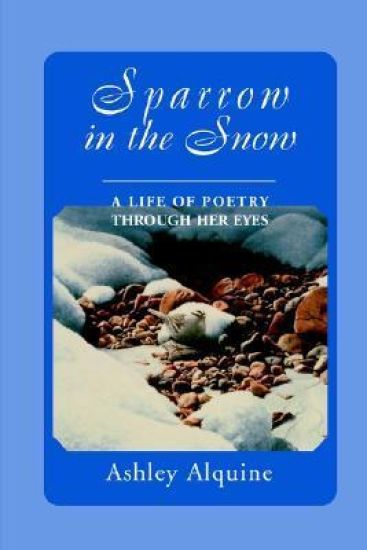 Sparrow in the Snow
