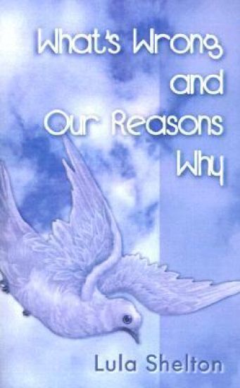 What's Wrong and Our Reasons Why