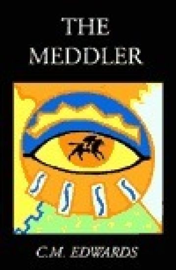 The Meddler