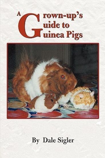 A Grown-Up's Guide to Guinea Pigs