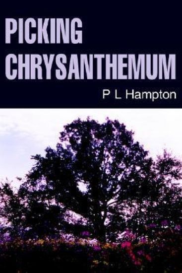 Picking Chrysanthemum