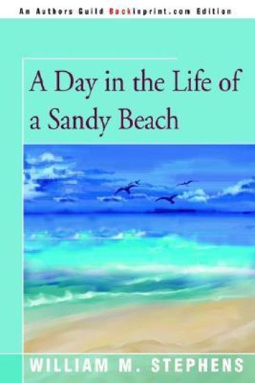 A Day in the Life of a Sandy Beach