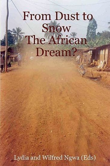From Dust to Snow: The African Dream?