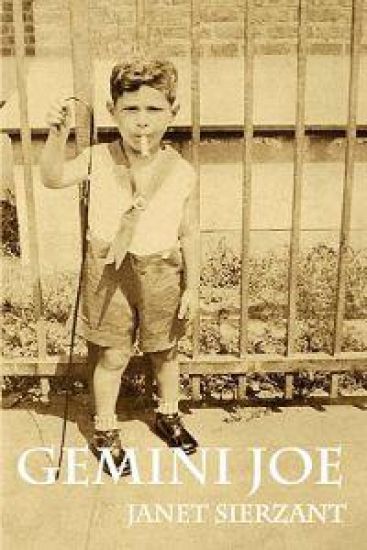 Gemini Joe