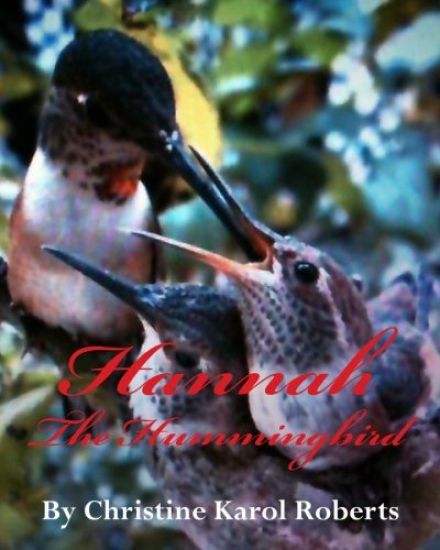 Hannah the Hummingbird