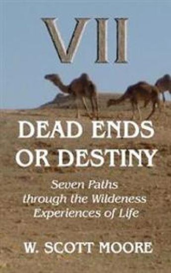 Dead Ends or Destiny?: Seven Paths Through the Wilderness Experiences of Life