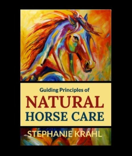 Guiding Principles of Natural Horse Care: Powerful Concepts for a Healthy Horse