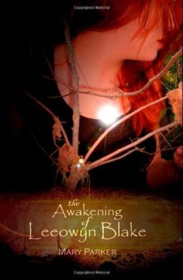 The Awakening of Leeowyn Blake