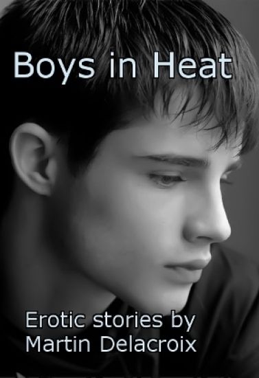 Boys in Heat: Erotic Stories by Martin Delacroix