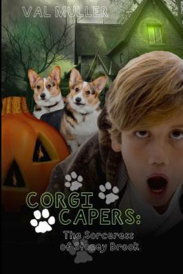 Corgi Capers: The Sorceress of Stoney Brook