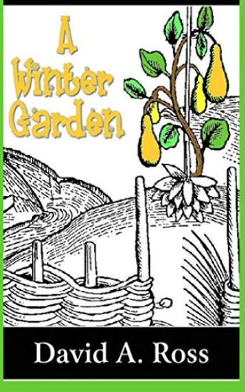 A Winter Garden
