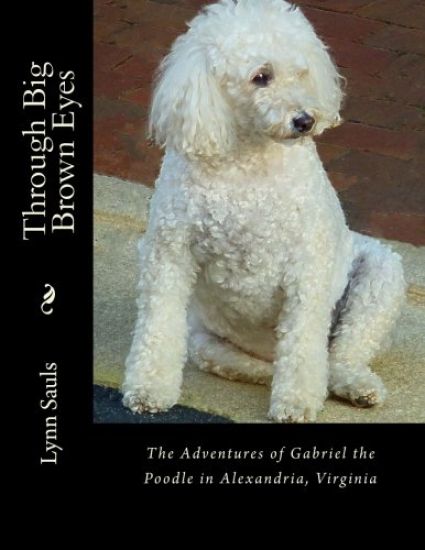 Through Big Brown Eyes: The Adventures of Gabriel the Poodle in Alexandria, Virginia