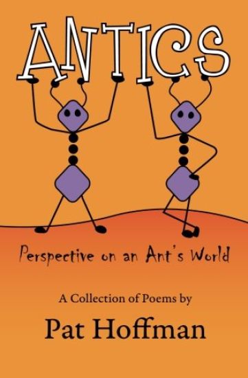 Antics: Perspective on an Ant's World