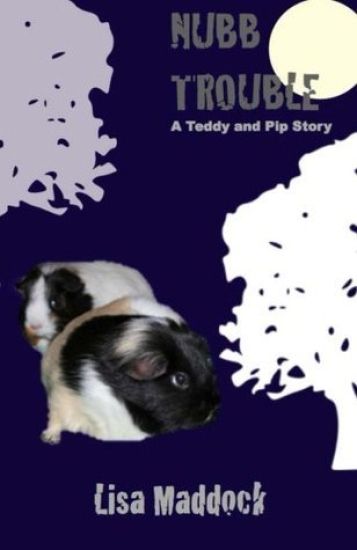 Nubb Trouble: A Teddy and Pip Story