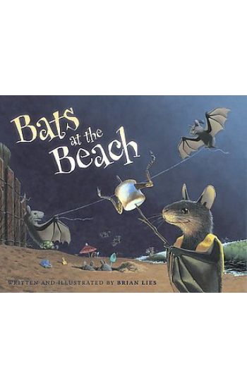 Bats at the Beach