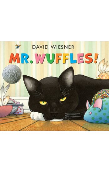 Mr. Wuffles!: A Caldecott Honor Award Winner