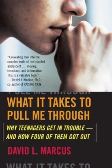 What It Takes to Pull Me Through: Why Teenagers Get in Trouble and How Four of Them Got Out