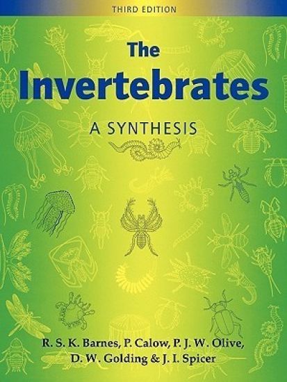 The Invertebrates