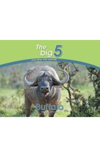 Buffalo