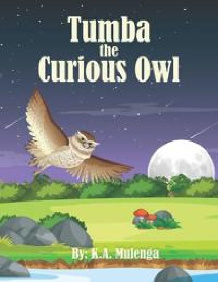 Tumba The Curious Owl