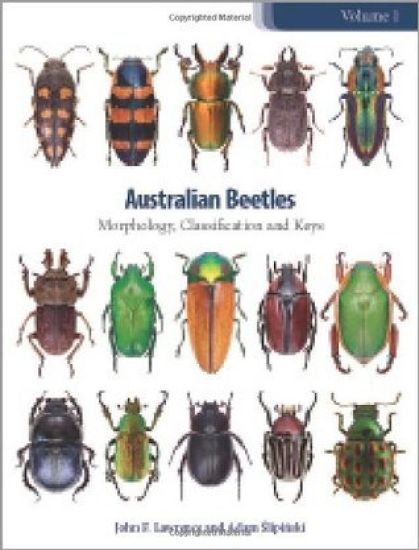 Australian Beetles Volume 1
