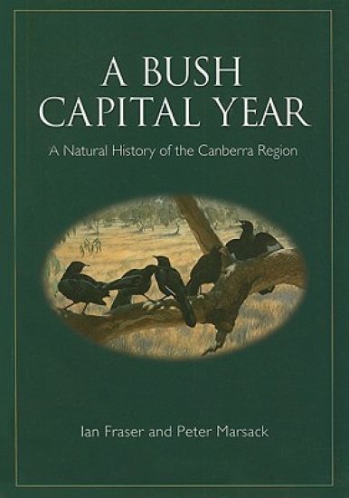 A Bush Capital Year