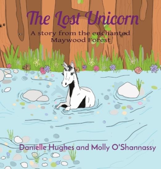 The Lost Unicorn