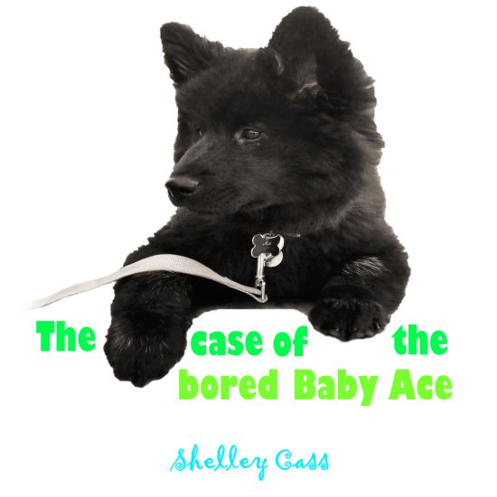 The Case of the Bored Baby Ace