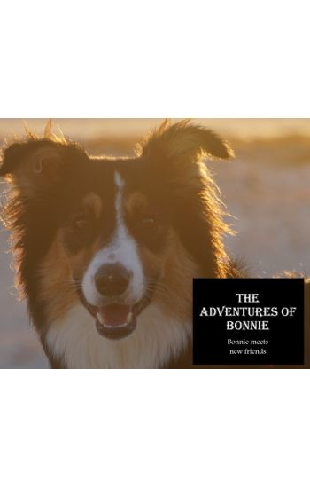 The Adventures of Bonnie