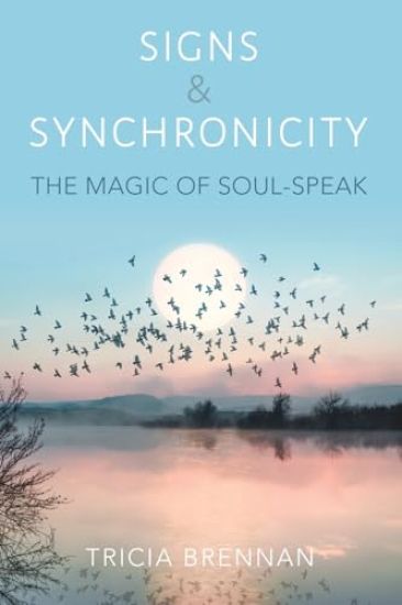 Signs & Synchronicity - The Magic of Soul Speak