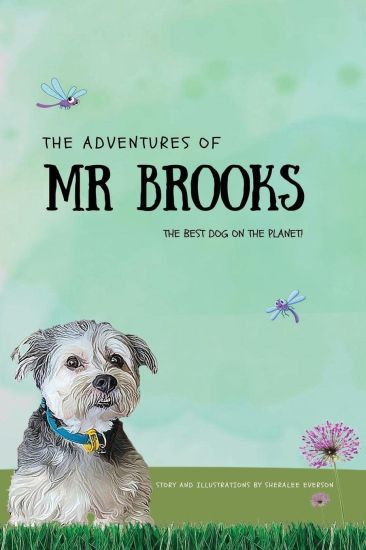 The Adventures of Mr Brooks