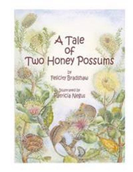 A Tale of Two Honey Possums