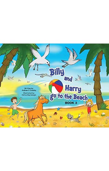 Billy and Harry go to the beach