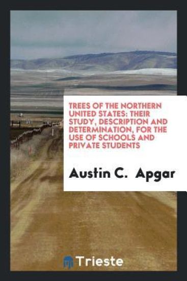 Trees of the Northern United States
